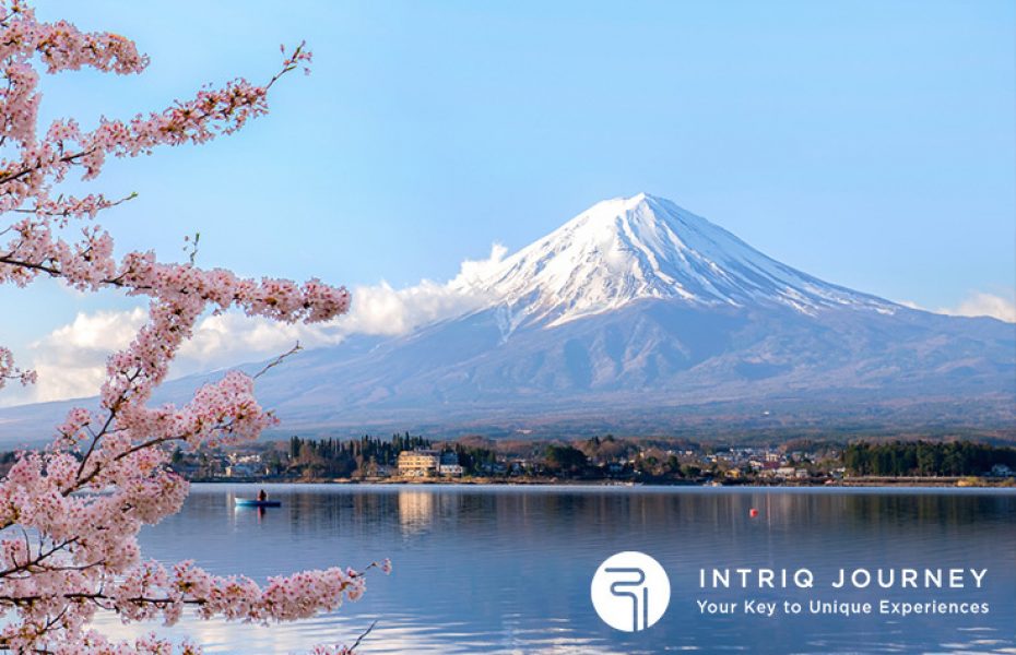揭開瑰寶的面紗 – 日本隱世旅遊勝地