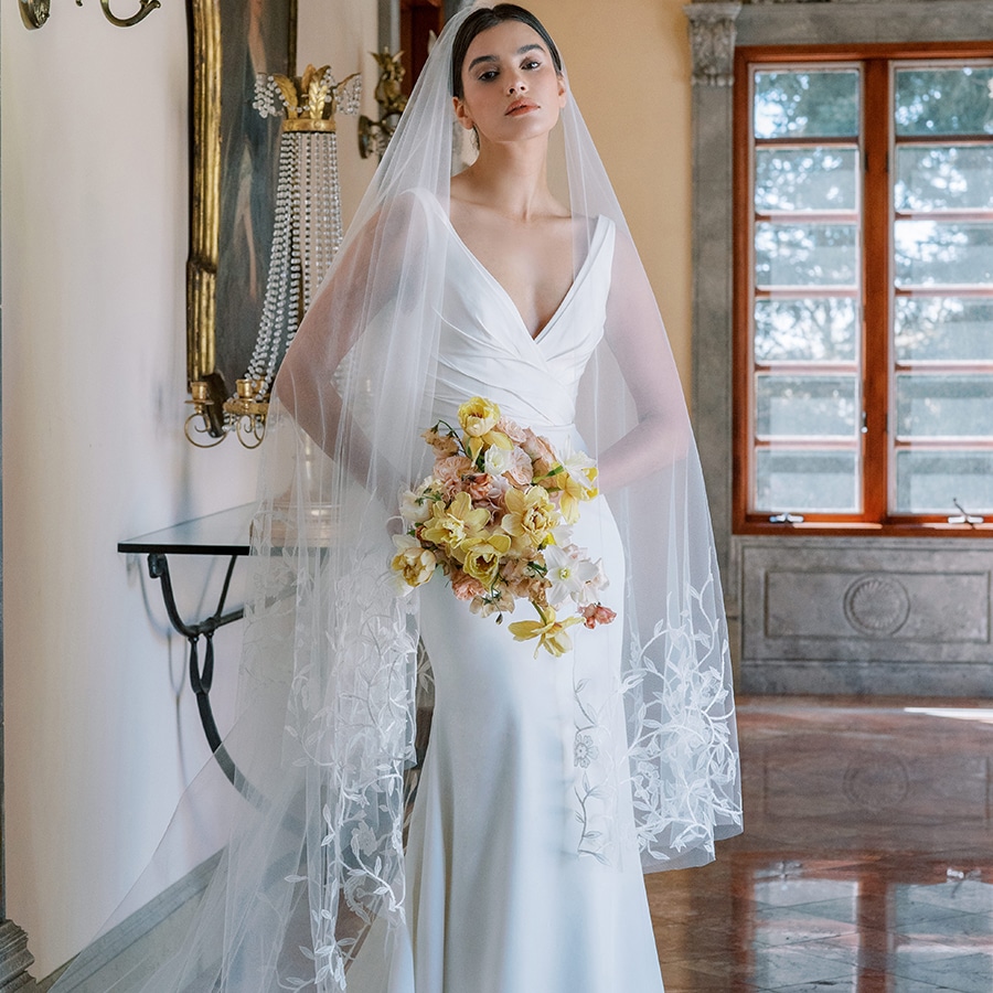 Belle & Tulle - Anne Barge Erte Veil